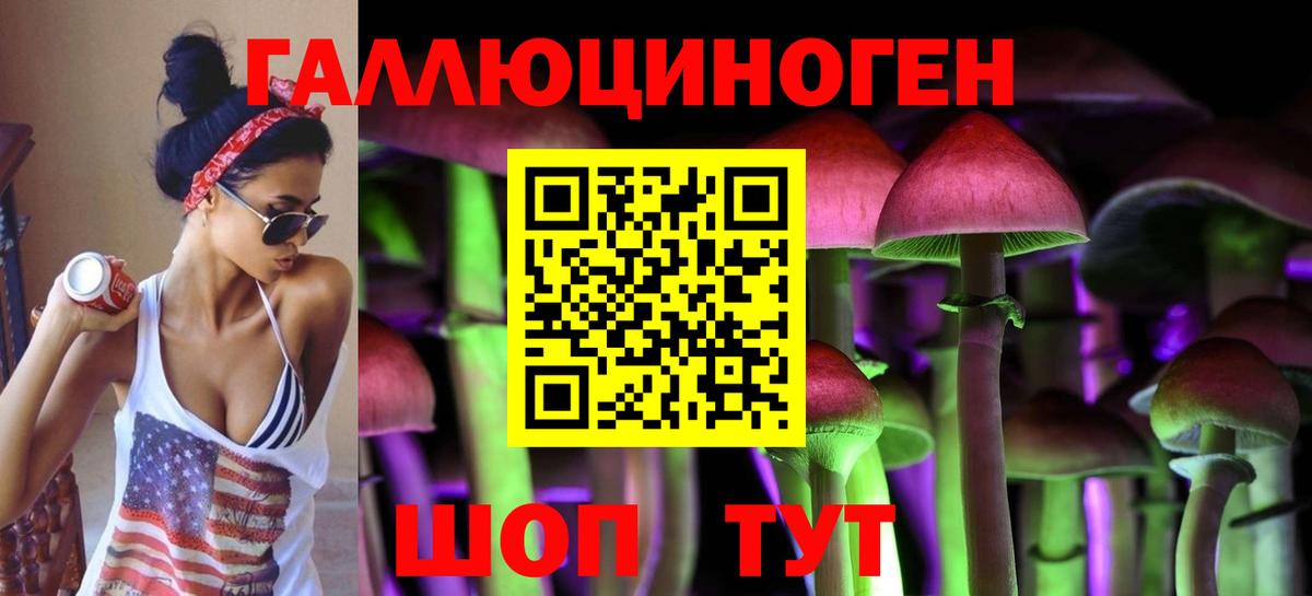 Галлюциногенные грибы Psilocybe  Вход с VPN  Киселёвск 