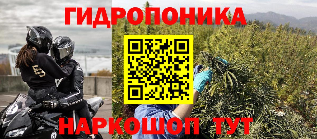 Бошки марихуана ГИДРОПОН Киселёвск